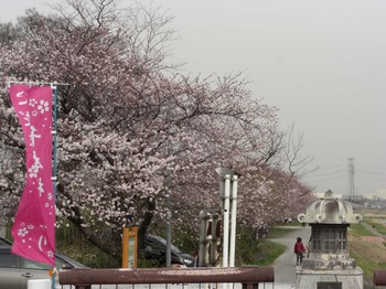 千本桜下流方向4，10.jpg